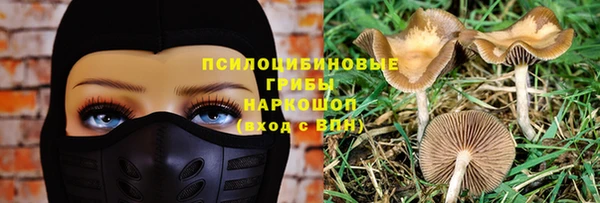 спиды Абдулино