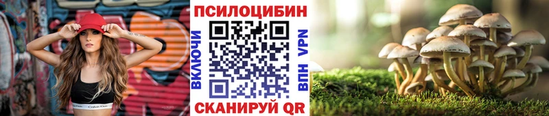 Псилоцибиновые грибы MAGIC MUSHROOMS  купить наркотик  Холм 